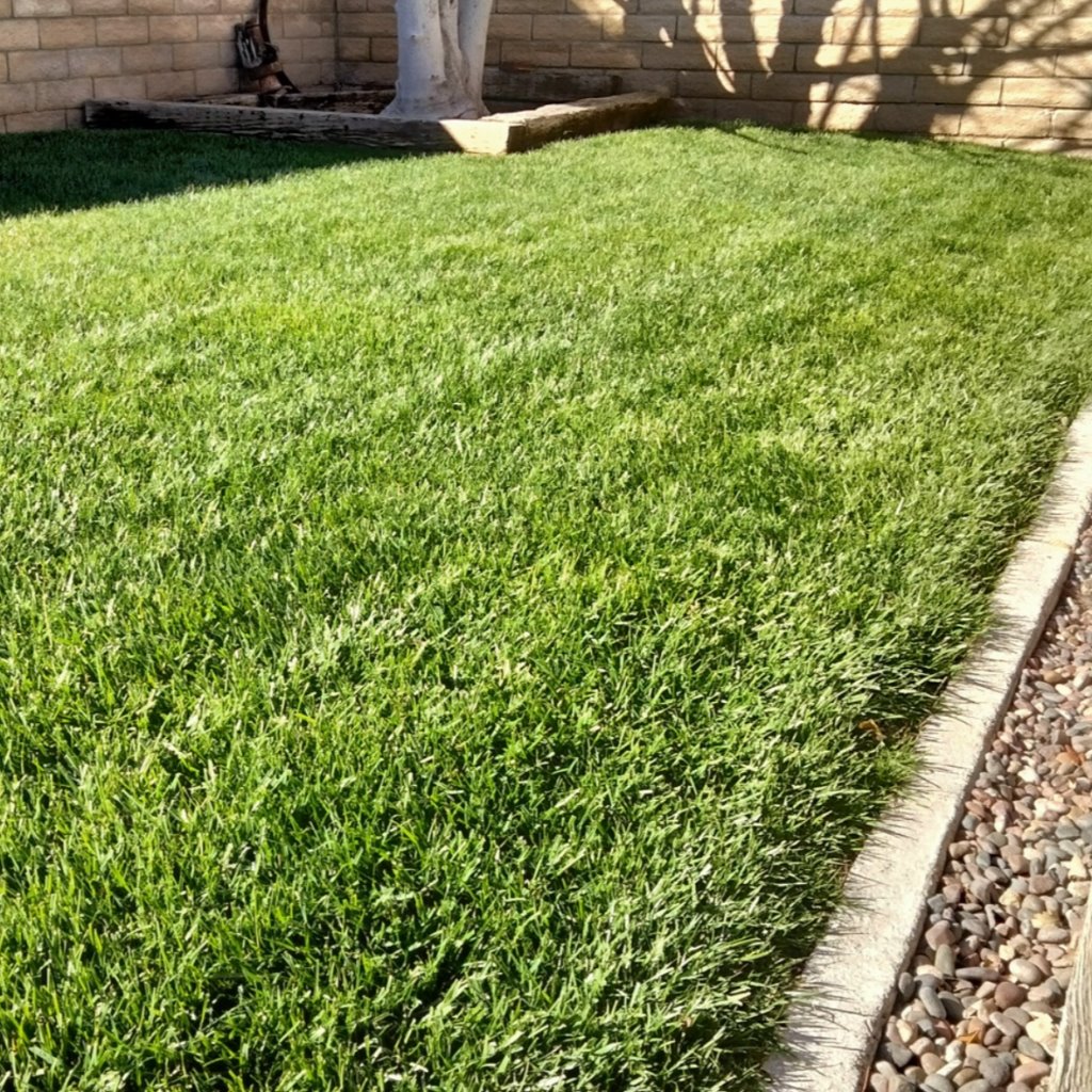 Dr. JimZ Velvet Green Lawn Food® Fertilizer Dr Jimz