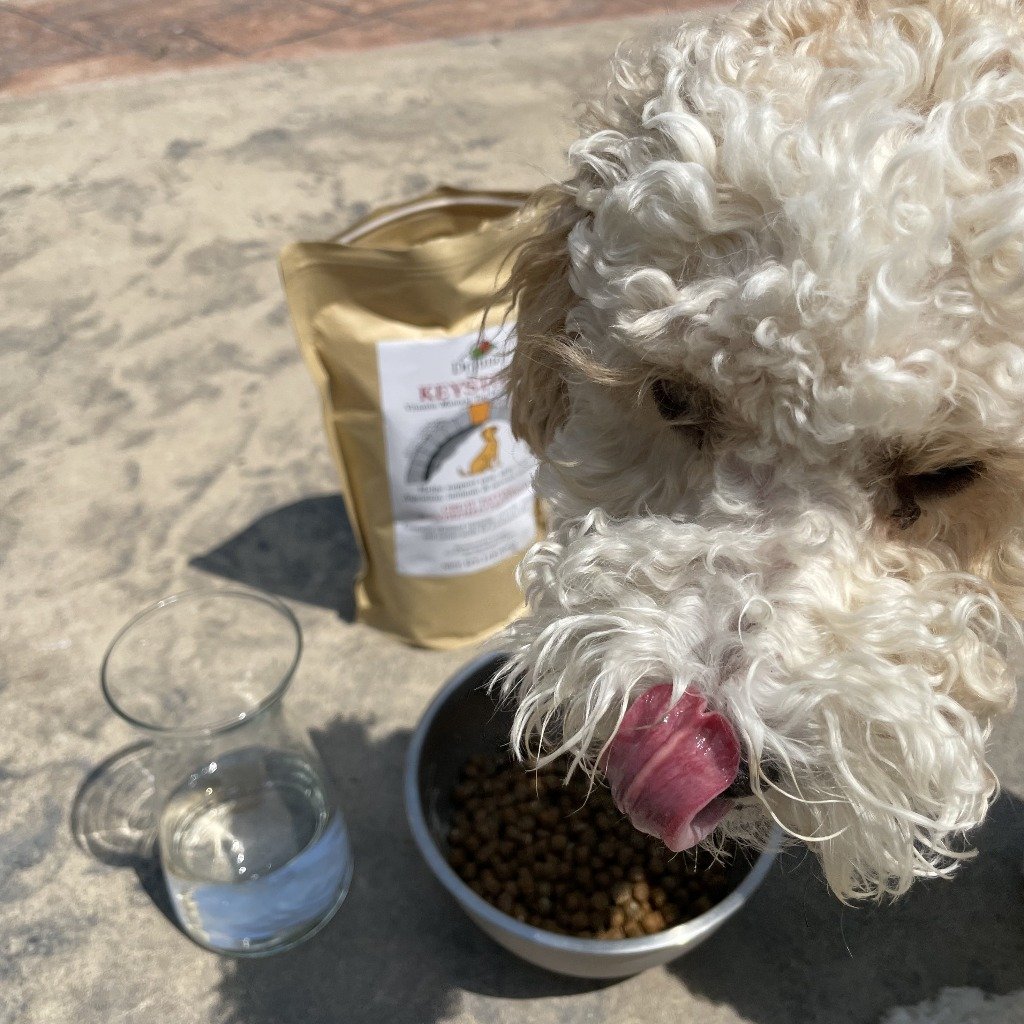 Keystone™ (Dog Food Vitamin & Mineral Sup) Fertilizer Dr Jimz