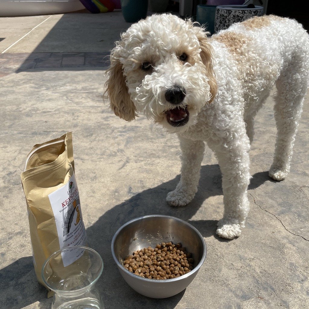 Keystone™ (Dog Food Vitamin & Mineral Sup) Fertilizer Dr Jimz