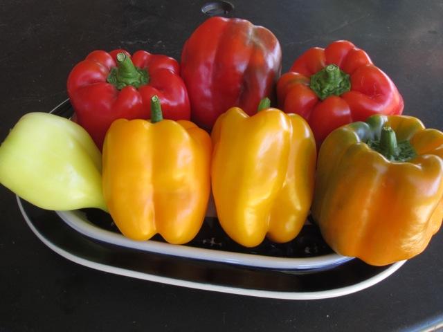 Pepper Popper Dr Jimz