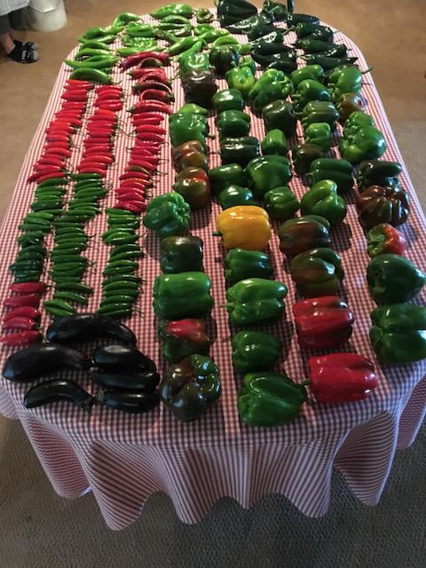 Pepper Popper Dr Jimz