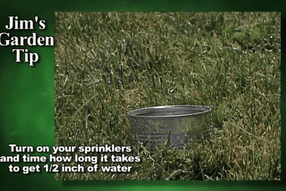 Gardening Tips 24 – How To Properly Water A Lawn (Adequate and Evenly)
