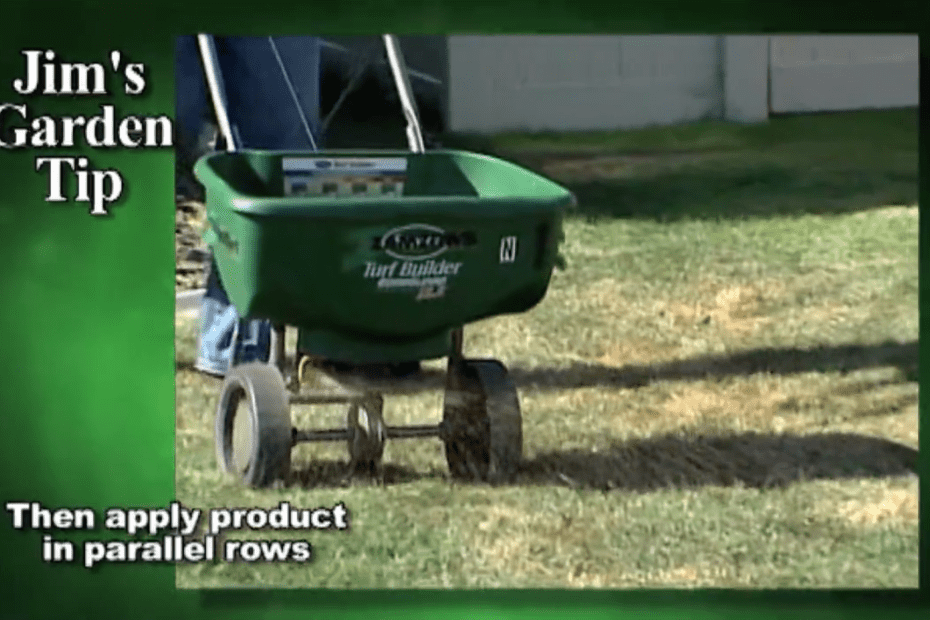 Gardening Tips 28 – How To Properly Get Rid of Insects and Fertilize Lawn