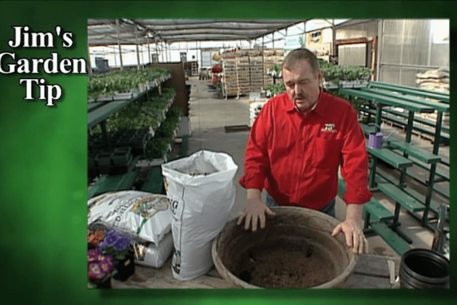 Gardening Tip 8 – How To Grow Enough Spinach To Feed Family