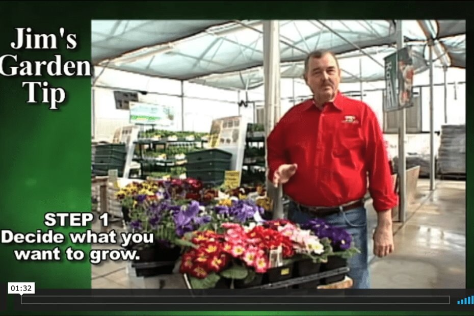 Gardening Tips 1 – Decide What You Want To Grow In Garden