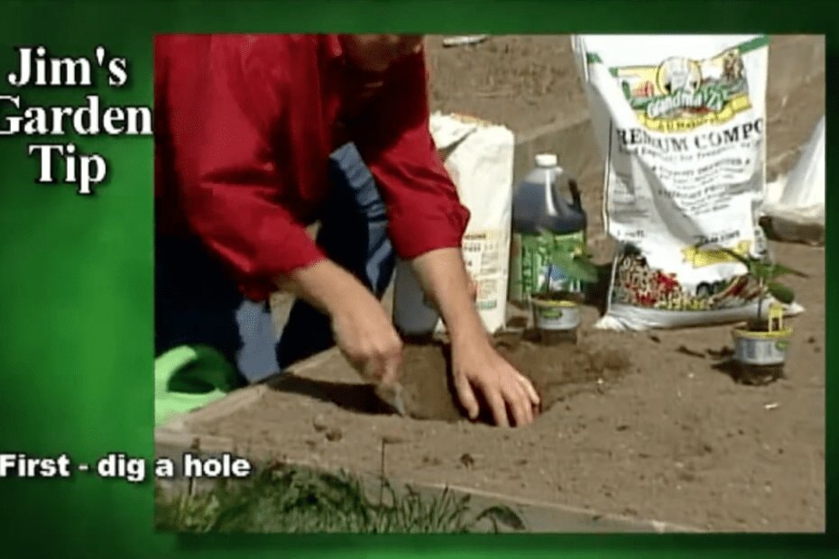 Gardening Tips 11- How To Plant Peppers and Zucchini