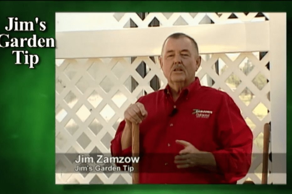 Gardening Tips 12 – How To Plant Sweet Corn For Best Results