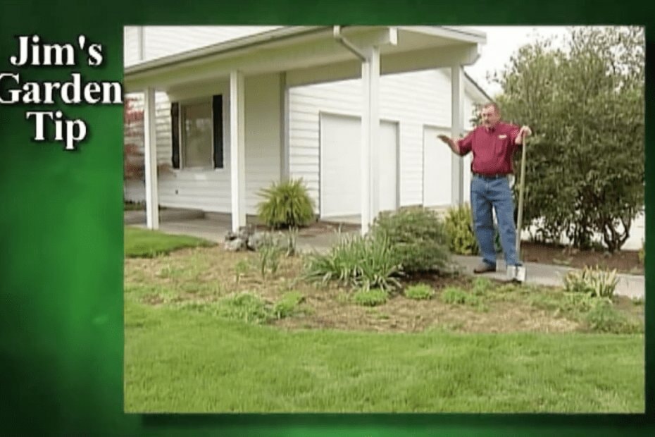Gardening Tips 16 – How To Transform An Old Flower Bed Into A Green Lawn