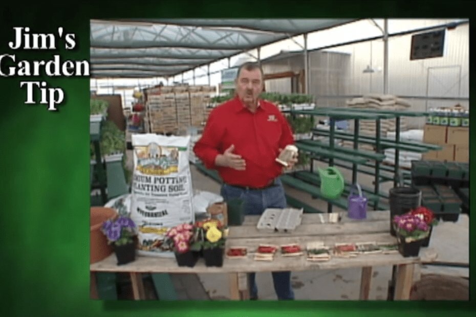 Gardening Tips 2 – How To Start Seeds Indoors & Transplant To Garden