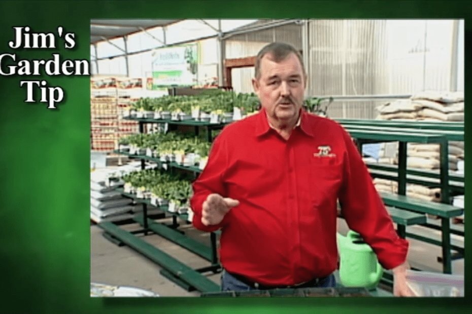 Gardening Tips 3 – How To Transplant Seedlings Into Larger Pots