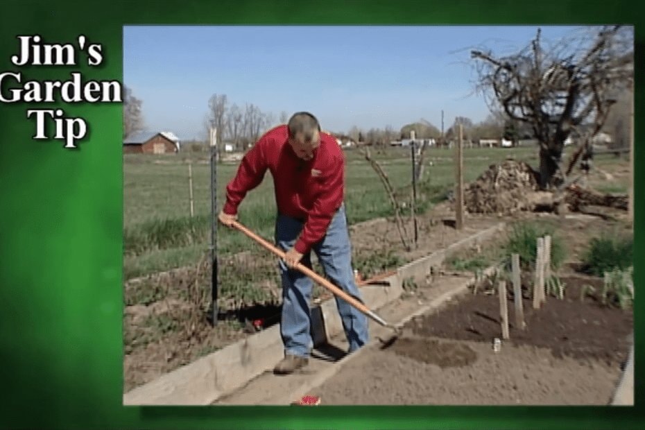 Gardening Tips 9 – How To Plant Root Crops and Salad Greens