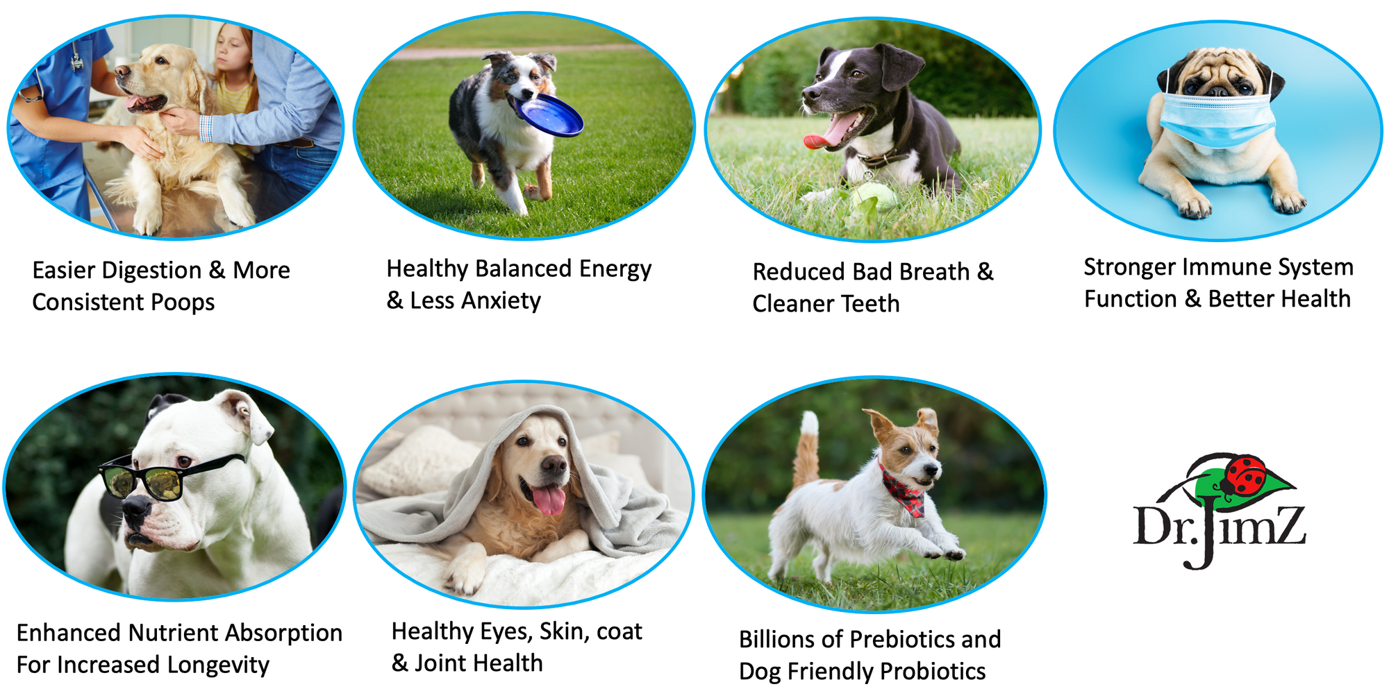 Dog Vitamin Powder - Keystone