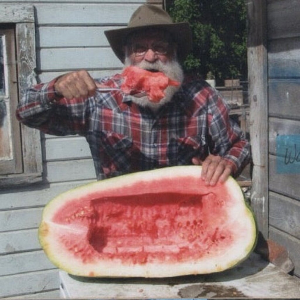 Beebopalooza | Natural Fertilizer Made By Bees Fertilizer Dr. JimZ 