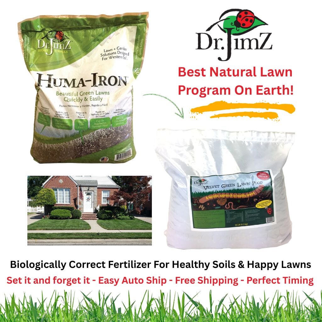 Dr. JimZ Lawn Program Fertilizer Dr. JimZ 