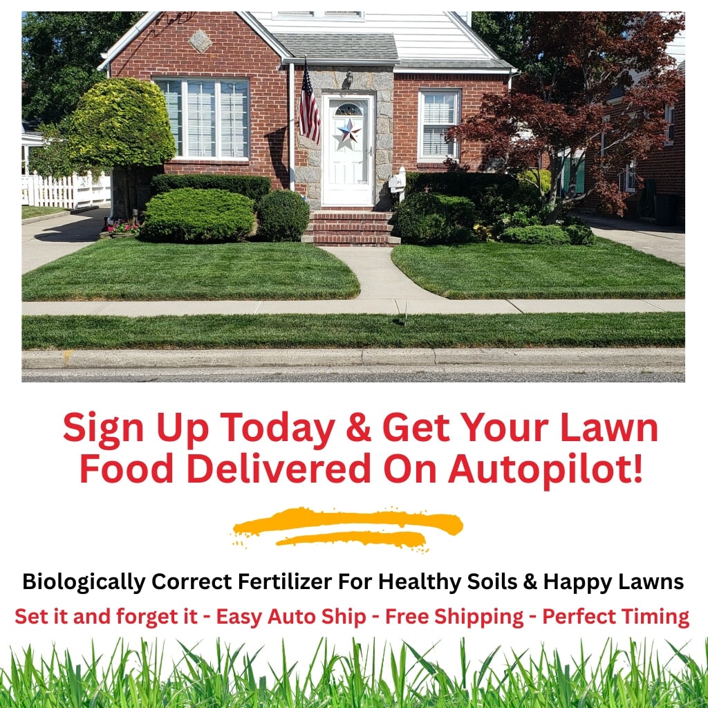 Dr. JimZ Lawn Program