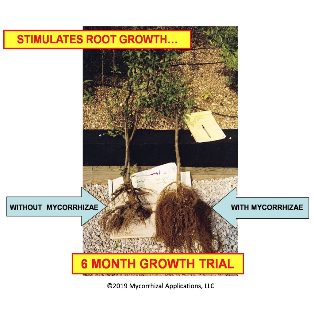 3-2-1 GROW | Planting tabs / Mycorrhizae - Dr Jimz