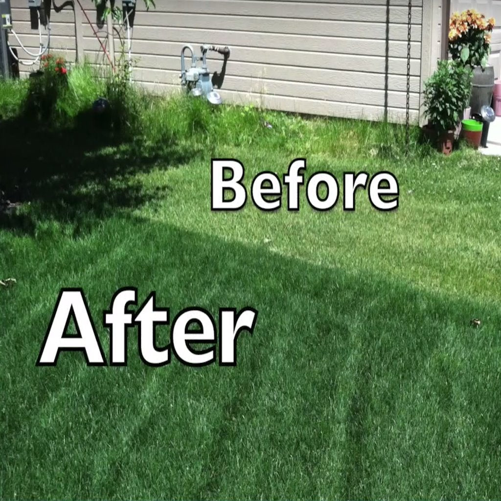 Huma-Iron™ (Lawn) - Dr Jimz