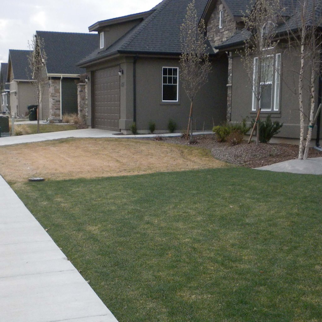 Huma-Iron™ (Lawn) - Dr Jimz