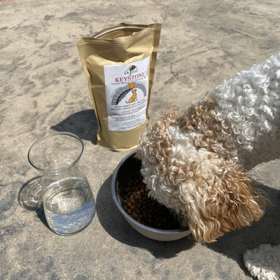Keystone™ (Dog Food Vitamin & Mineral Sup) Fertilizer Dr Jimz